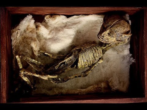 The Truth Behind These Utterly Horrific Skeletons Under Orphanage Will Spook You Out