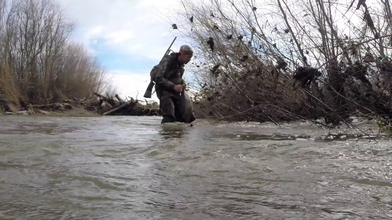 Duck Hunting California 