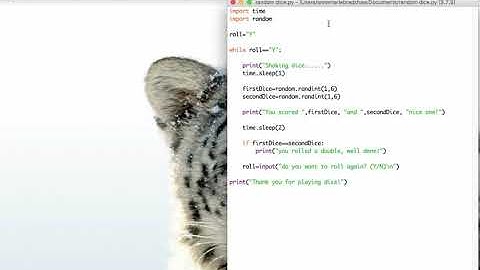 Python L6 using random randint and a while loop
