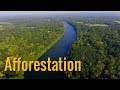 How to Create Natural Forest | Afforestation of Urban Areas with Natural Species and its Importance