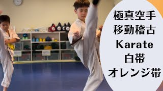 【移動稽古（白帯・オレンジ帯）】極真空手/昇級審査【Kyokushin Karate】whitebelt