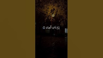 محمد أحمد حسن | سورة الفجر | برواية الدوري عن الكسائي