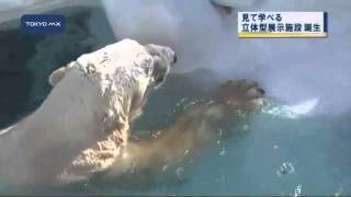 上野動物園　ホッキョクグマとアシカの新施設を公開