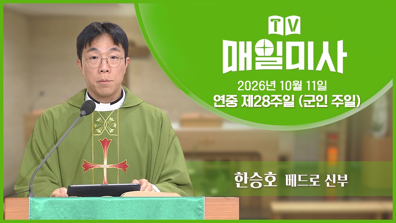 TV留ㅼ씪誘몄궗