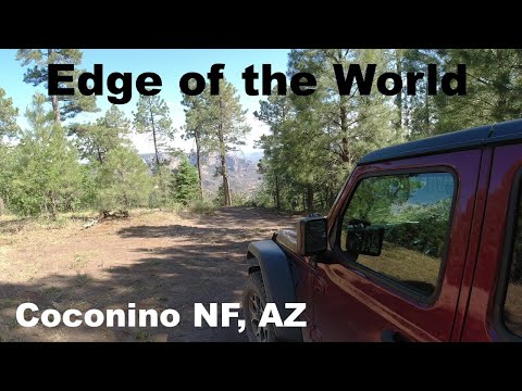 Video: Coconino National Forest: Kompletní průvodce