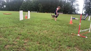 One Jump Work Come Spin with Jack