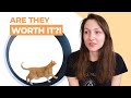 I Tried 3 Cat Wheels This One Is The Best 