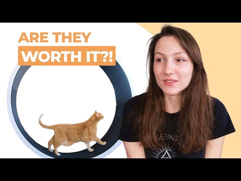 Video: Sådan lugter du en Hyper Kitten
