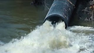 DC officials provide updates on Potomac sewage spill | NBC4 Washington