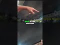 Cops Investigate Pizza Theft: Shakedown Gone Wrong! #shorts
