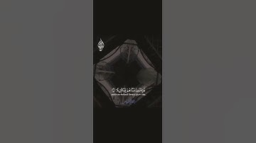 آيات بينات من سورة الإنسان ❤️