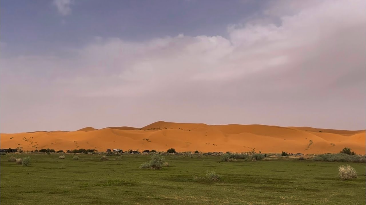 الزلفي وعنيزة في 48 ساعة