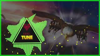 TikTok Eagle Danger BGM