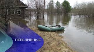 5 мостов закрыты в Нижегородской области