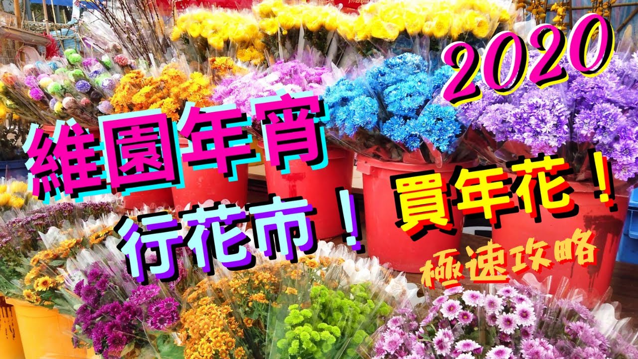 維園年宵花市2020【行花市】今年年花靚唔靚?開哂未?抵唔抵?一齊行一齊睇!維多利亞公園|香港Hong Kong|4K|VNT流浪地圖 ...