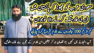 Lilla Dairy Farm | Dairy Farming in Pakistan | بڑے نقصان سے بچیں, اس فارمر کے تجربہ سے فائدہ اٹھائیں
