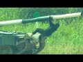 Танковый биатлон 2021 / Tank Biathlon 2021 Best Moments