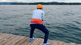 カワハギ釣りしてから、泳がせ釣りしてみたら・・・。