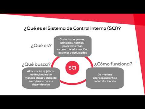 Video: ¿Cuáles son los elementos esenciales de un control interno eficaz?