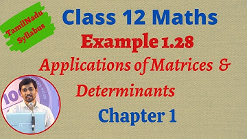 Class 12 Maths  | Example 1.28 | Applications of Matrices and Determinants