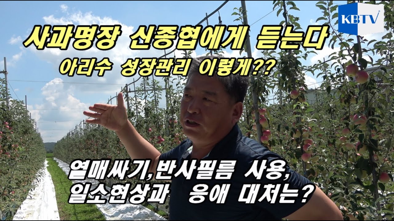 사과의 신, 신종협 사과명장에게 듣는다. 봉지싸기, 반사필름깔기, 수확기 등 사과나무 관리는?