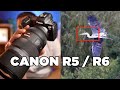 CANON EOS R5 / R6 Tiererkennung | Körper, Gesicht und Augen bei Tieren in der Praxis | 🏆 AF Test