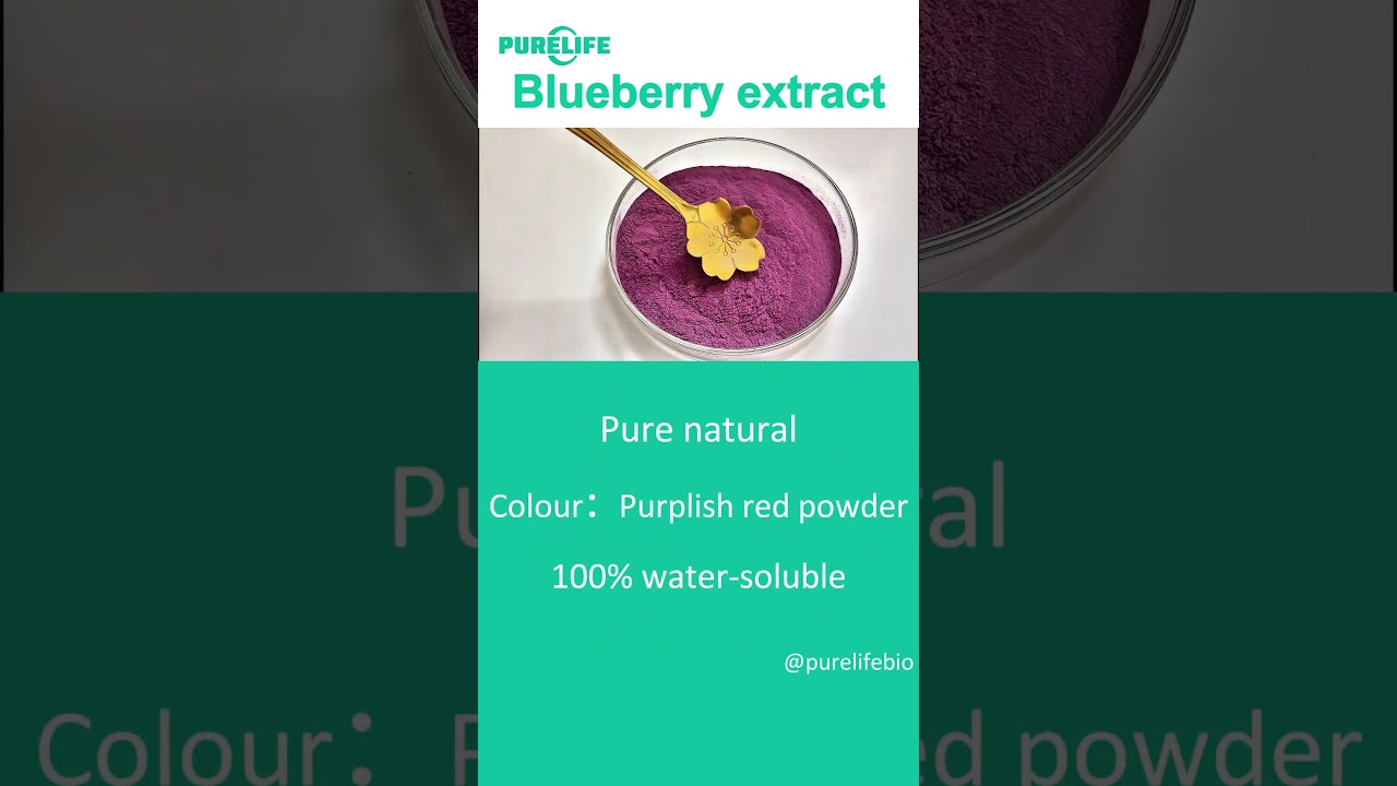 Blueberry Extract