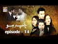 Watch Chup Raho Episode 14 - Feroze Khan & Sajal Aly | ARY Digital Drama Online In Hd