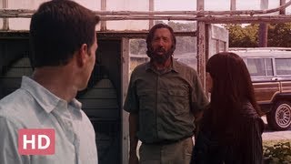 The Happening | Hot Dogs