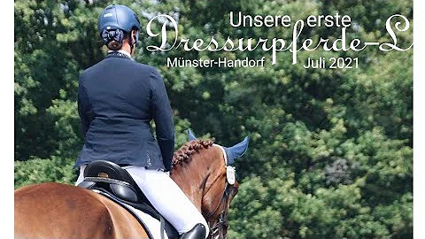 Dressurpferde-L (DL2) ll Mnster-Handorf ll 27.07.2...