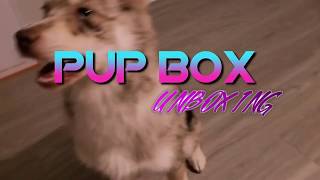 PUP BOX 🐶: UNBOXING with LUNA🌙