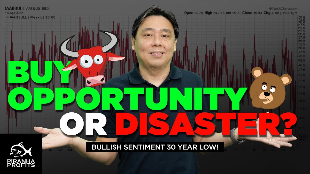 Stock Market Buy Opportunity or Disaster?