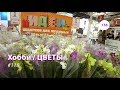 158#118 / Хобби Цветы / 03.2019 - OBI и ИКЕА (ХИМКИ). ОБЗОР