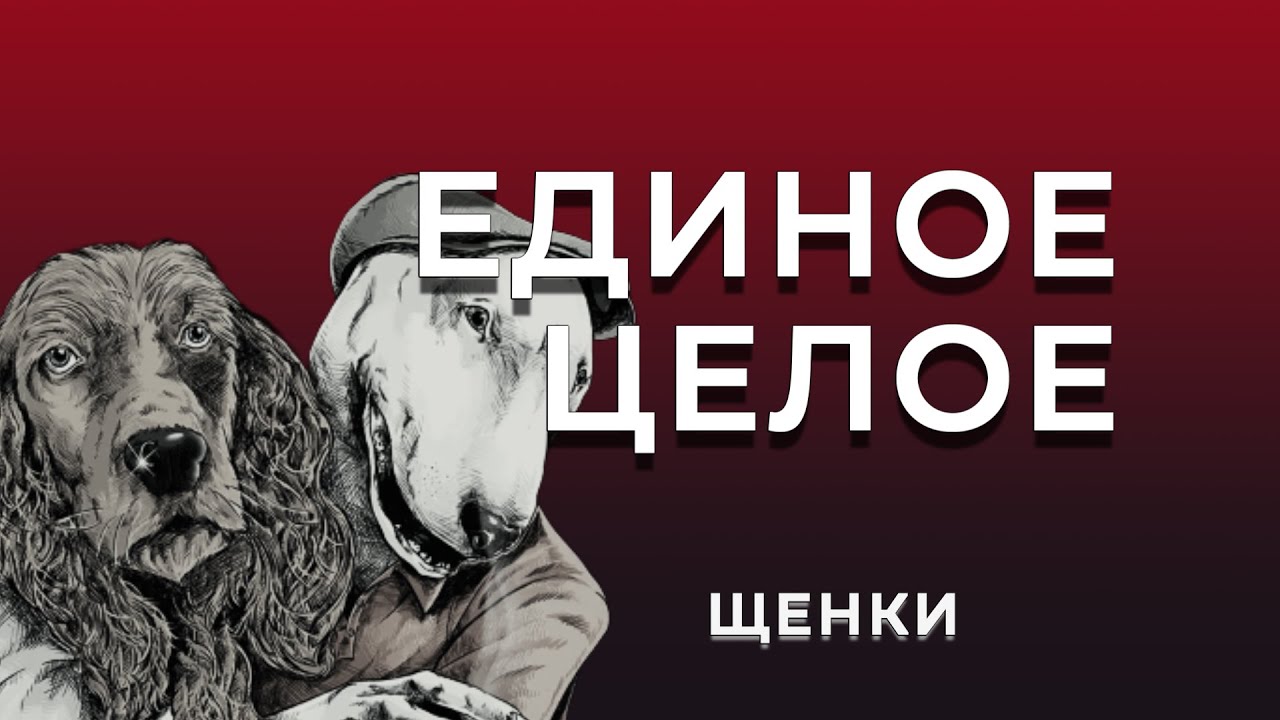 Щенки - Единое Целое | Russian Lyrics, English Translation