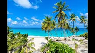 Relaxing Stress Relieving Tropical Steel Drum Music Mix Trinidad  Caribbean