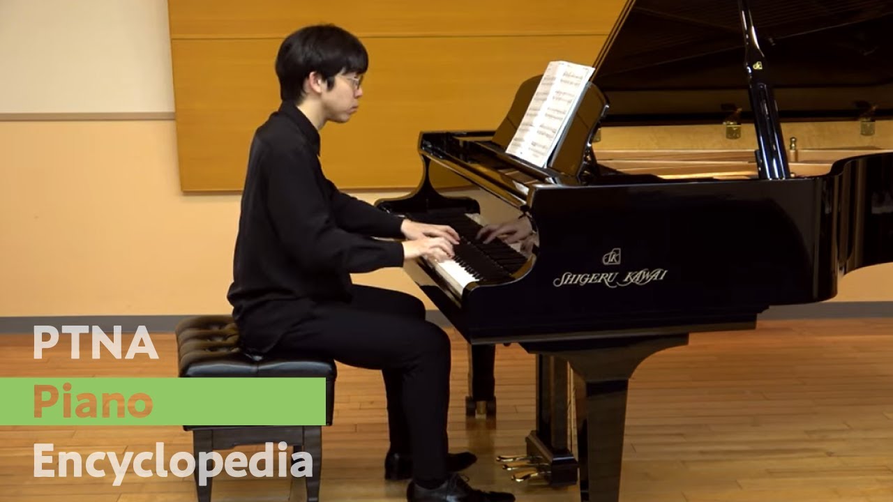 バルトーク　ミクロコスモス　コチシュ ピアノ曲全集第6集－『ミクロコスモス』全曲 コチシュ（2CD