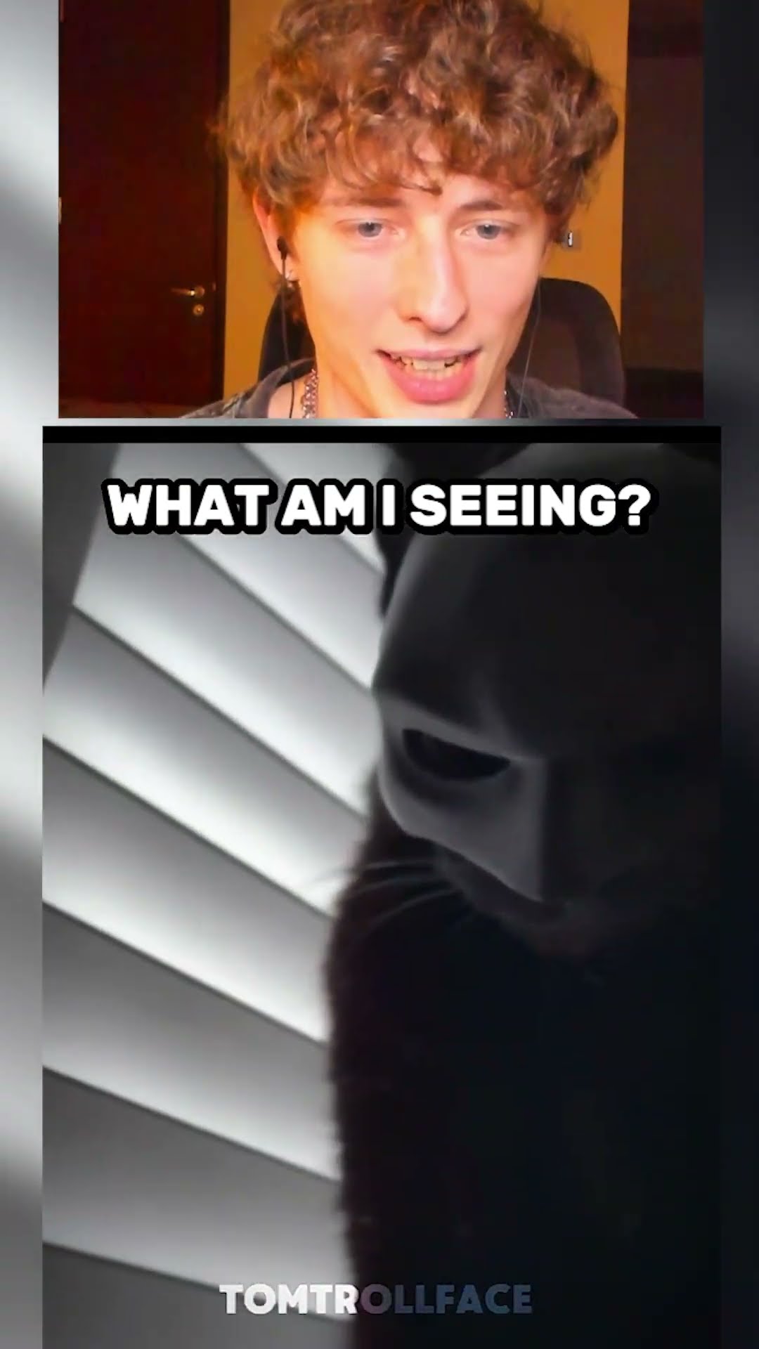 Gato BATMAN ??