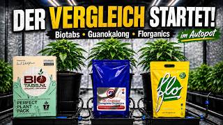 Biotabs, Guanokalong und Florganics im Autopot-System.