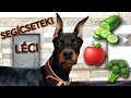 Ollie kóstol 🐶🥦 | Nem hittem, hogy ezt szereti...