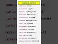 Animal Voice 🗣️#shorts #animals #animalvoicewordmeaning #words #vocabulary #dsm_english