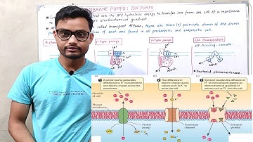 Membrane Pumps - Ion Pumps | P-type, V-type, F-type and ABC Transporters | Cell Biology