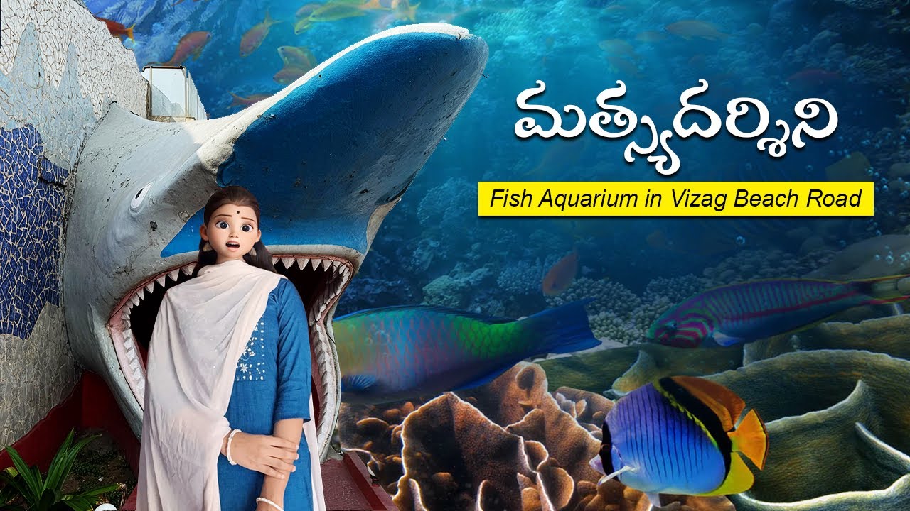 Matsyadarshini Aquarium Vizag Beach Road/Telugammayivlogs