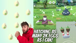 ✨Shiny Drilbur Hunt! Hatching As Many Shiny Boosted Eggs As I Can and More!✨