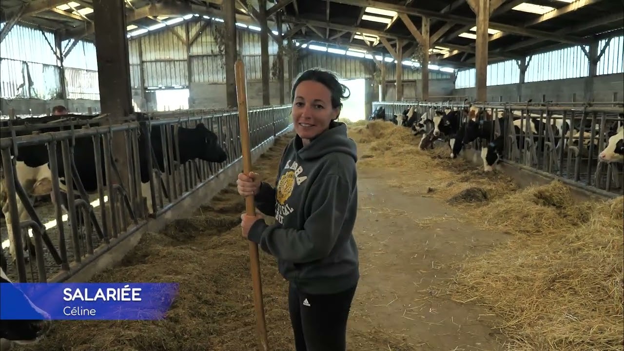 Et toi tu fais quoi avec ton lait ? Producteur laitier - Salarié - Vétérinaire
