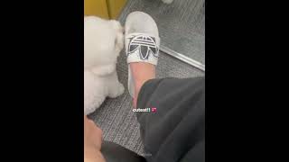 Download Lagu the way hes calling daegal 😍🥰 #jaemin #nct #nctdream #najaemin #nana #daegal #chenle MP3