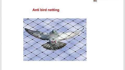 Anti Bird Netting Service hinjewadi,Pimpri-Chinchwad,Wakad,Pimple-Saudagar,Pune,