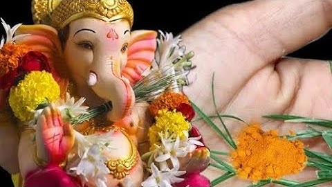 03 दिसंबर बुधवार के दिन 7 दूर्वा और हल्दी वाला उपाय जरूर करें बनोगेPradeep Ji Mishra