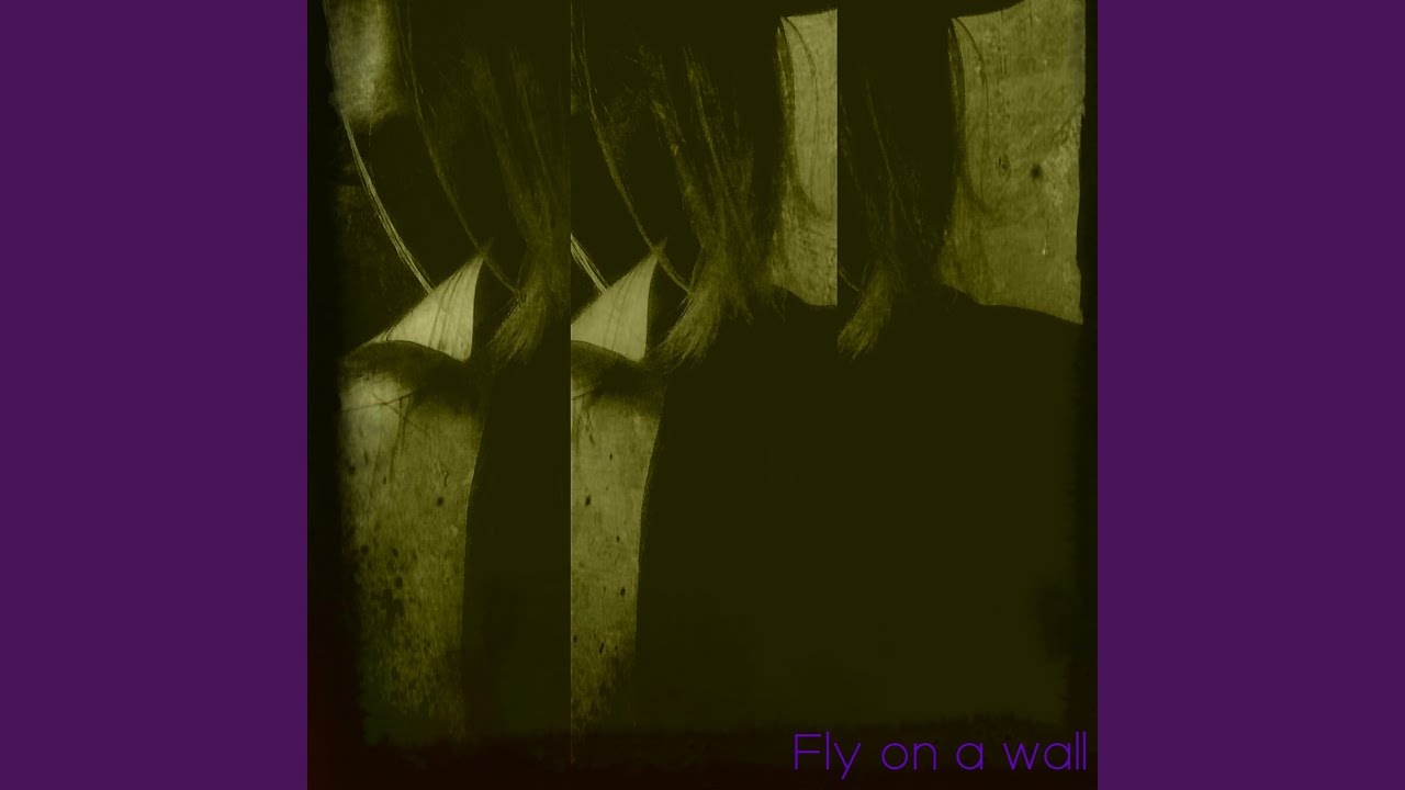 Fly on the Wall VI