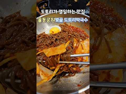 [도토리의 쫄깃쫄깃함이 그대로 살아있는 도토리 막국수] 분당 율동공원맛집 벚골 도토리 막국수  #율동공원맛집