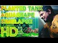 AQUASCAPING Timelapse 2nd MONTH update
